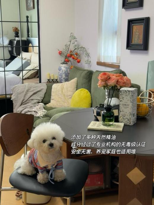 久留香？西兰藤蔓香薰定义居家新标准开元棋